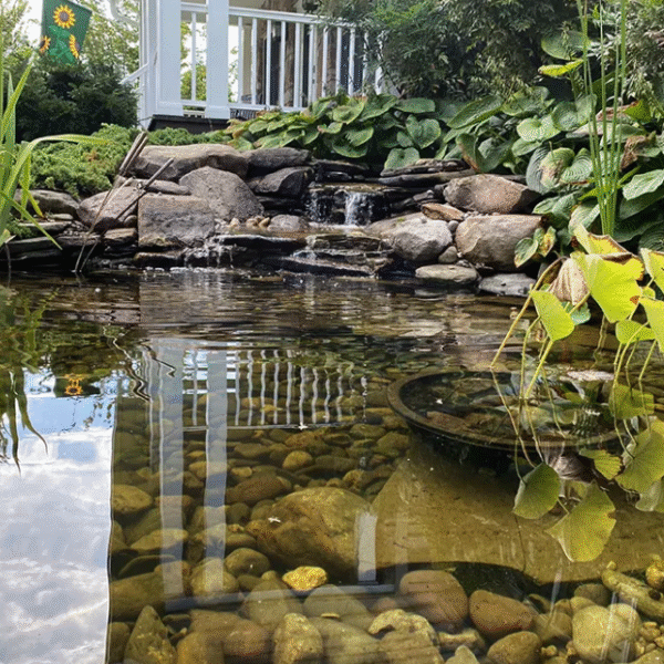Comprehensive Guide to Cleaner Pond Systems and Maintenance
