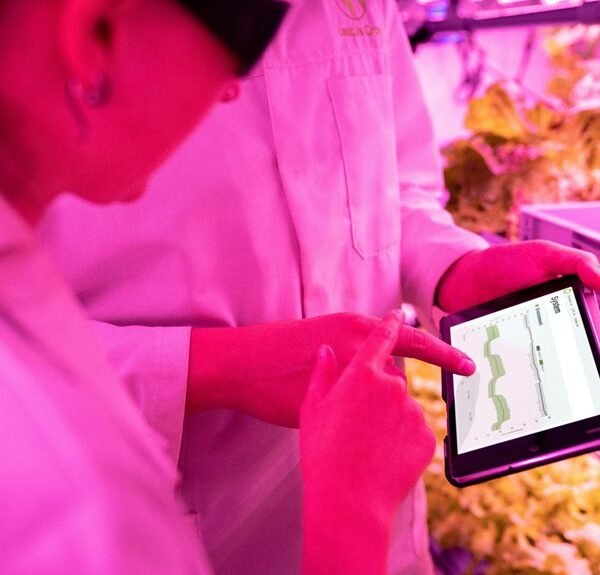 Boost Your Growth 433891956 Digital Tools