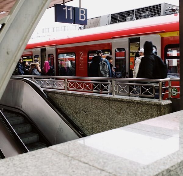 elevate your online business