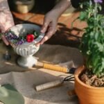 enhance growth with digital tools