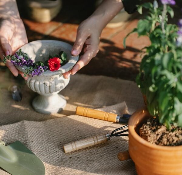 enhance growth with technology