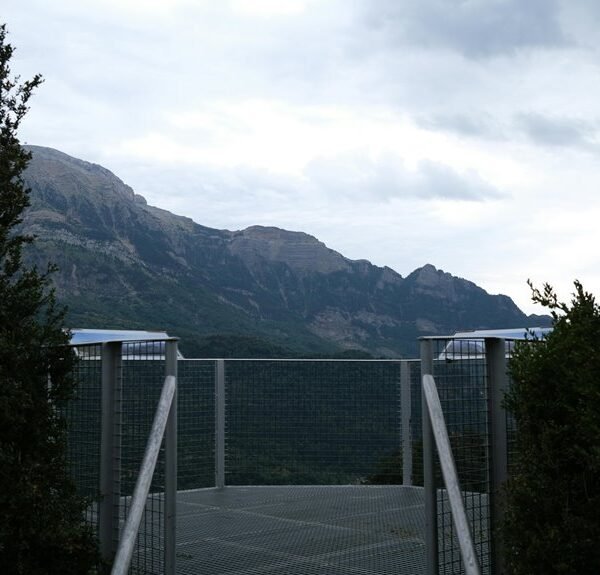 Elevate Your Services 932820274 Online Platform